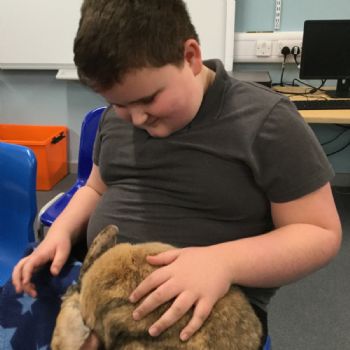 Animals visit Tigers (2)